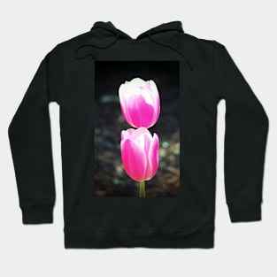 Two Pink Tulips Hoodie